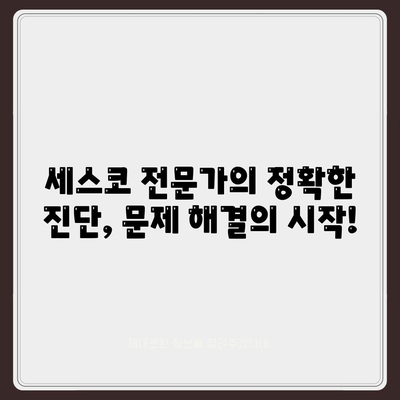 광주시 남구 월산5동 세스코 가격 및 후기| 가정집, 원룸, 좀벌레 해결 솔루션 | 비용, 신청, 가입, 진단 2024