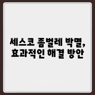 대전 유성구 죽동 세스코 가격, 꼼꼼히 비교하고 후기까지 확인하세요! | 가정집, 원룸, 좀벌레, 신청, 가입, 진단, 2024