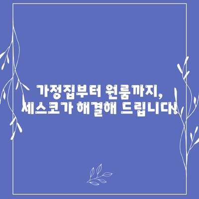 부산 북구 구포1동 세스코 가격 & 후기| 가정집, 원룸, 좀벌레까지! | 비용, 신청, 가입, 진단 2024