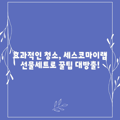 세스코마이랩 선물세트로 집안 구석구석 깨끗하게 대청소하기 | 세스코, 청소, 선물세트, 꿀팁, 효과적인 청소