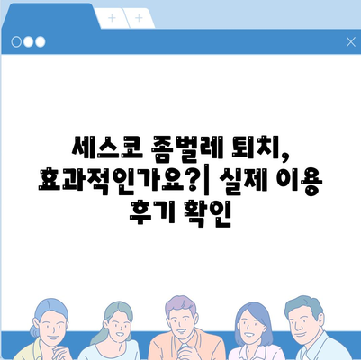 제주도 서귀포시 송산동 세스코 가격 & 후기| 가정집, 원룸, 좀벌레 퇴치  | 비용, 신청, 가입, 진단 2024