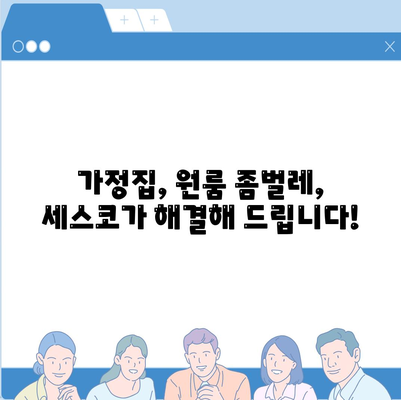 울산 남구 대현동 세스코 가격 & 후기| 가정집, 원룸, 좀벌래 해결 솔루션 | 비용, 신청, 가입, 진단 2024