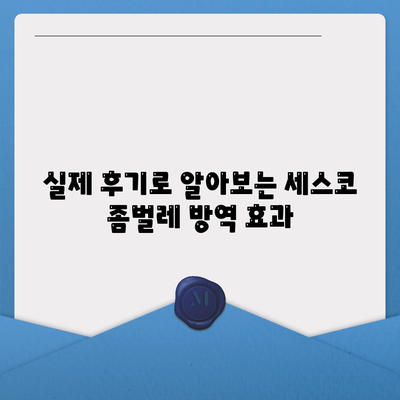 광주 서구 광천동 세스코 가격 & 후기| 좀벌레 해결, 가정집 & 원룸 비용 비교 | 2024 최신 정보