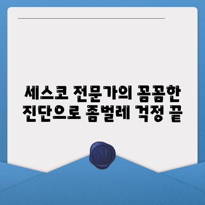 대전 서구 용문동 세스코 가격 & 후기| 가정집, 원룸, 좀벌레 해결 솔루션 | 비용, 신청, 가입, 진단 2024