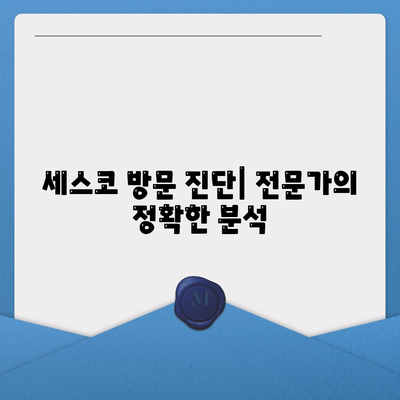 부산 해운대구 우1동 세스코 가격 & 후기| 가정집, 원룸, 좀벌래 해결 솔루션 | 비용, 신청, 가입, 진단 2024