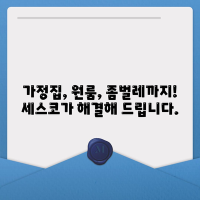 세종시 고운동 세스코 가격 & 후기| 가정집, 원룸, 좀벌래 해결 솔루션 | 비용, 신청, 가입, 진단 2024