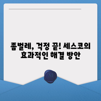 논산 연무읍 세스코 가격 & 후기| 가정집, 원룸, 좀벌레 해결 솔루션 | 2024 최신 정보