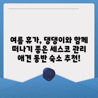 여름 휴가, 반려견과 함께 떠나기! 세스코 관리 숙소에서 싱그러운 추억 만들기 | 애견 동반 숙소, 여름 휴가, 세스코