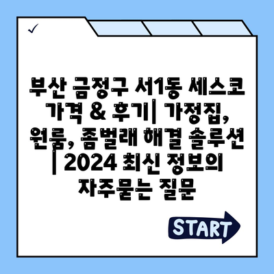 부산 금정구 서1동 세스코 가격 & 후기| 가정집, 원룸, 좀벌래 해결 솔루션 | 2024 최신 정보