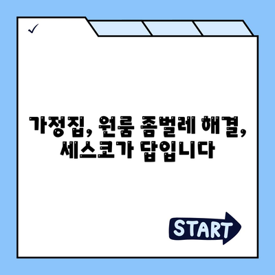 제주도 제주시 아라동 세스코 가격 & 후기| 가정집, 원룸, 좀벌래 해결 솔루션 | 비용, 신청, 가입, 진단, 2024