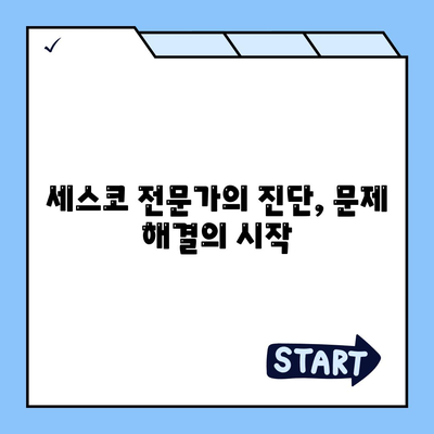 세종시 한솔동 세스코 가격 & 후기| 가정집, 원룸, 좀벌래 해결 솔루션 | 비용, 신청, 가입, 진단 2024