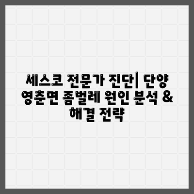 단양 영춘면 세스코 가격 & 후기| 가정집, 원룸, 좀벌래 해결 솔루션 | 비용, 신청, 가입, 진단 2024