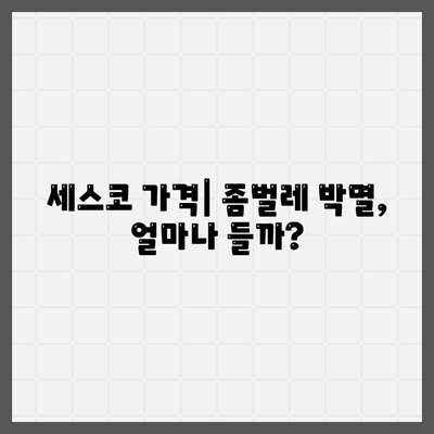 인천 부평구 부개2동 세스코 가격 & 후기| 가정집, 원룸, 좀벌래 해결 솔루션 | 비용, 신청, 가입, 진단 2024