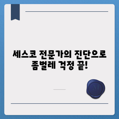 광주시 동구 학동 세스코 가격 및 후기| 가정집, 원룸, 좀벌레 해결 솔루션 | 비용, 신청, 가입, 진단 2024