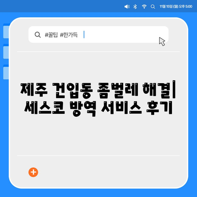 제주도 제주시 건입동 세스코 가격 & 후기| 가정집, 원룸, 좀벌레 해결 솔루션 | 2024 비용, 신청, 가입, 진단