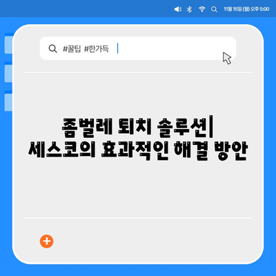 광주시 동구 지산2동 세스코 가격 & 후기| 가정집, 원룸, 좀벌레 해결 솔루션 | 비용, 신청, 가입, 진단 2024