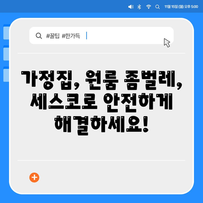 경상북도 고령군 쌍림면 세스코 가격 및 후기| 가정집, 원룸, 좀벌레 해결 방안 | 비용, 신청, 가입, 진단, 2024