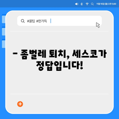 인천 남동구 만수6동 세스코 가격 & 후기| 좀벌레 해결, 가정집/원룸 비용 비교 | 2024 최신 정보