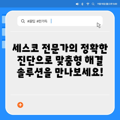 세종시 고운동 세스코 가격 & 후기| 가정집, 원룸, 좀벌래 해결 솔루션 | 비용, 신청, 가입, 진단 2024