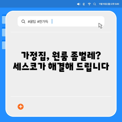 인천 계양구 계산3동 세스코 가격 & 후기| 가정집, 원룸, 좀벌래 해결 솔루션 | 비용, 신청, 가입, 진단 | 2024