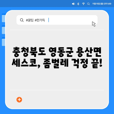 충청북도 영동군 용산면 세스코 가격 & 후기| 가정집, 원룸, 좀벌래 해결 솔루션 | 비용, 신청, 가입, 진단 2024