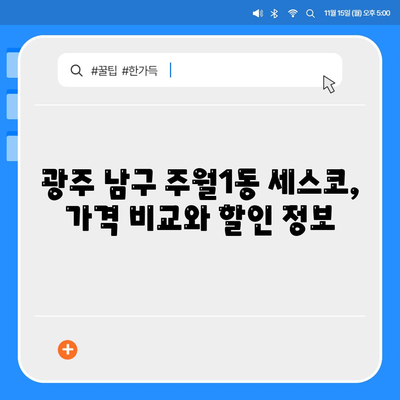 광주 남구 주월1동 세스코 가격 & 후기| 가정집, 원룸, 좀벌레 해결 솔루션 | 2024 최신 정보