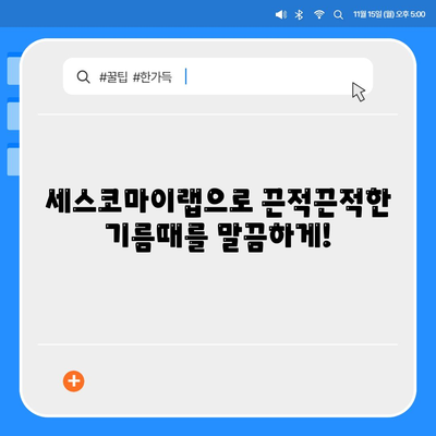 주방 문제 해결사! 세스코마이랩 기름때 제거 & 배수구 냄새 제거 솔루션 | 주방 청소, 기름때 제거, 배수구 악취 제거, 세스코마이랩