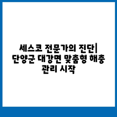 단양군 대강면 세스코 가격 & 후기| 가정집, 원룸, 좀벌래 해결 솔루션 | 비용, 신청, 가입, 진단 2024