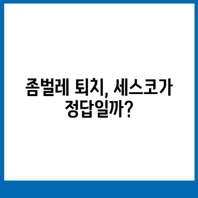 서울 서대문구 충현동 세스코 가격 & 후기| 가정집, 원룸, 좀벌레 해결 비용 & 경험 공유 | 2024