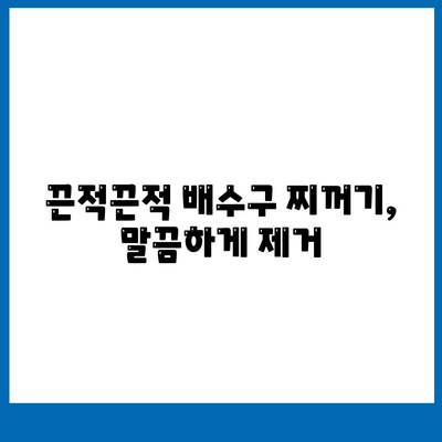 배수구 악취, 이제는 발포의 힘으로 해결! 세스코 마이랩 와디즈 배수구 클리너 사용 후기 | 세척, 악취 제거, 사용법, 효과