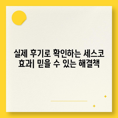 영등포본동 세스코 가격 & 후기| 가정집, 원룸, 좀벌래 해결 솔루션 | 비용, 신청, 가입, 진단 2024