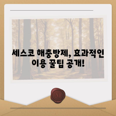 세스코 가정집 해충방제 서비스 후기 & 정기 방문 비용 비교| 실제 이용 경험 바탕으로 솔직하게 알려드립니다 | 세스코, 해충방제, 가격, 후기, 비용 비교