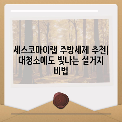 세스코마이랩 주방세제 추천| 대청소에도 빛나는 설거지 비법 | 주방세제 추천, 대청소, 세척력, 친환경