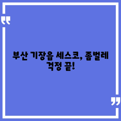 부산 기장읍 세스코 가격 & 후기| 가정집, 원룸, 좀벌래 해결 솔루션 | 2024 최신 정보 | 비용, 신청, 가입, 진단