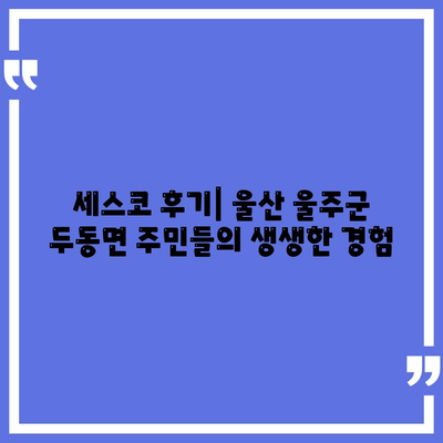 울산 울주군 두동면 세스코 가격 & 후기| 가정집, 원룸, 좀벌래 해결법 | 2024 비용, 신청, 가입, 진단