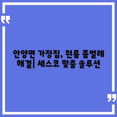 전라남도 장흥군 안양면 세스코 가격 및 후기| 가정집, 원룸, 좀벌래 해결 솔루션 | 2024 최신 정보 | 비용, 신청, 가입, 진단