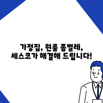 부산 금정구 서1동 세스코 가격 & 후기| 가정집, 원룸, 좀벌래 해결 솔루션 | 2024 최신 정보