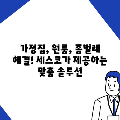 서울 성동구 성수1가제1동 세스코 가격 & 후기| 가정집, 원룸, 좀벌레 해결 솔루션 | 2024 최신 정보