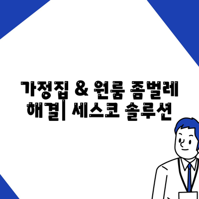 광주 광산구 신창동 세스코 가격 & 후기| 가정집, 원룸, 좀벌래 해결 솔루션 | 비용, 신청, 가입, 진단 2024