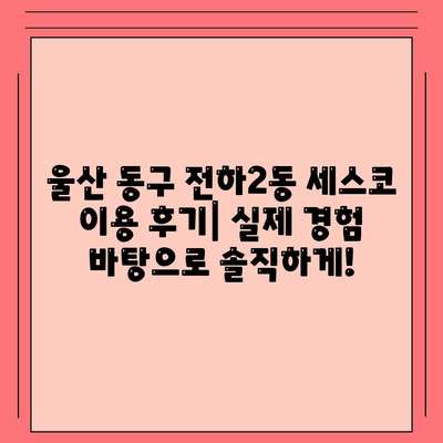 울산 동구 전하2동 세스코 가격 & 후기| 가정집, 원룸, 좀벌레 해결 솔루션 | 비용, 신청, 가입, 진단, 2024