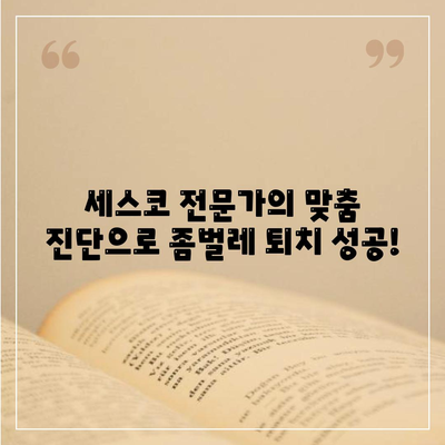 충청북도 영동군 용산면 세스코 가격 & 후기| 가정집, 원룸, 좀벌래 해결 솔루션 | 비용, 신청, 가입, 진단 2024