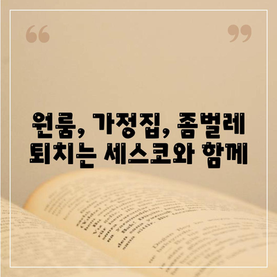 순천 도사동 세스코 가격 & 후기| 가정집, 원룸, 좀벌레 해결 솔루션 | 비용, 신청, 가입, 진단 2024