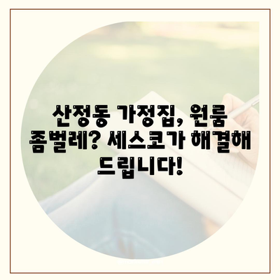 전라남도 목포시 산정동 세스코 가격 & 후기| 가정집, 원룸, 좀벌레 해결 솔루션 | 비용, 신청, 가입, 진단 2024