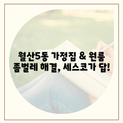 광주시 남구 월산5동 세스코 가격 및 후기| 가정집, 원룸, 좀벌레 해결 솔루션 | 비용, 신청, 가입, 진단 2024