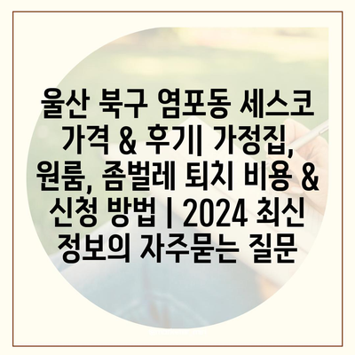 울산 북구 염포동 세스코 가격 & 후기| 가정집, 원룸, 좀벌레 퇴치 비용 & 신청 방법 | 2024 최신 정보