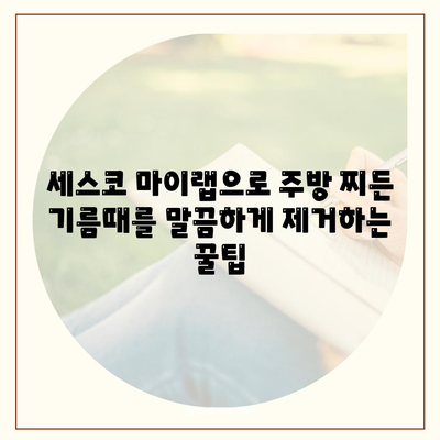 주방 찌든 기름때, 세스코 마이랩으로 말끔하게 해결! | 주방 청소, 기름때 제거, 세척 팁