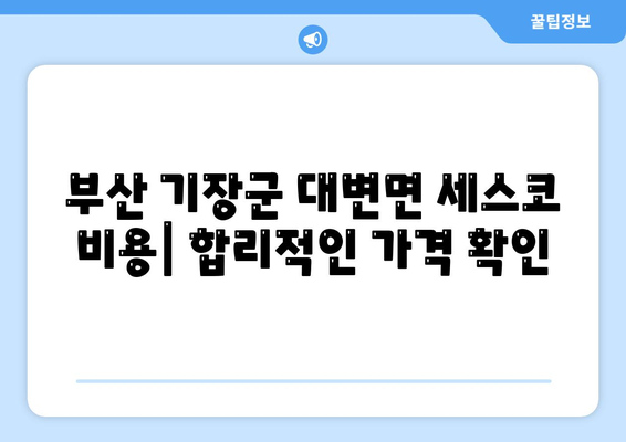 부산 기장군 대변면 세스코 가격 & 후기| 가정집, 원룸, 좀벌레 해결 솔루션 | 비용, 신청, 가입, 진단 2024