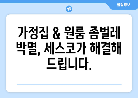 인천 서구 검단동 세스코 가격 & 후기| 가정집, 원룸, 좀벌레 해결 솔루션 | 비용, 신청, 가입, 진단 2024