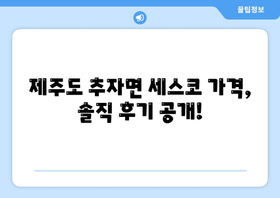 제주도 추자면 세스코 가격 & 후기| 가정집, 원룸, 좀벌레 해결 솔루션 | 2024 최신 정보 | 비용, 신청, 가입, 진단