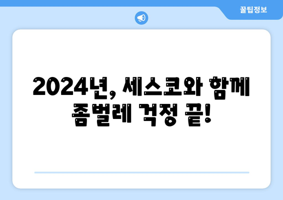 대구 달서구 용산1동 세스코 가격 & 후기| 좀벌레, 가정집, 원룸 해결 솔루션 | 비용, 신청, 가입, 진단 2024